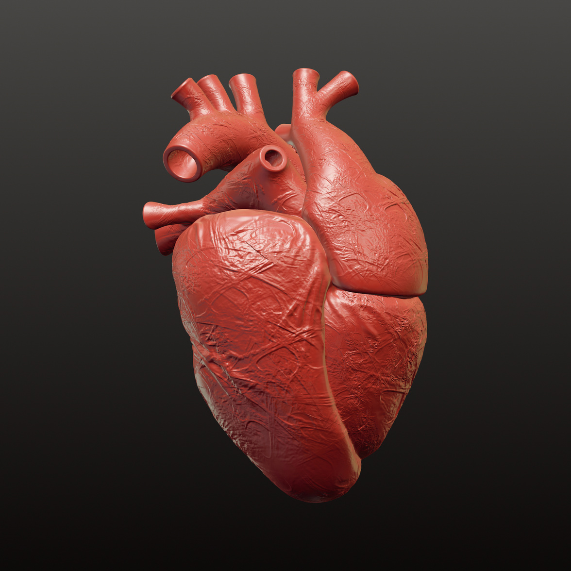 Human Heart