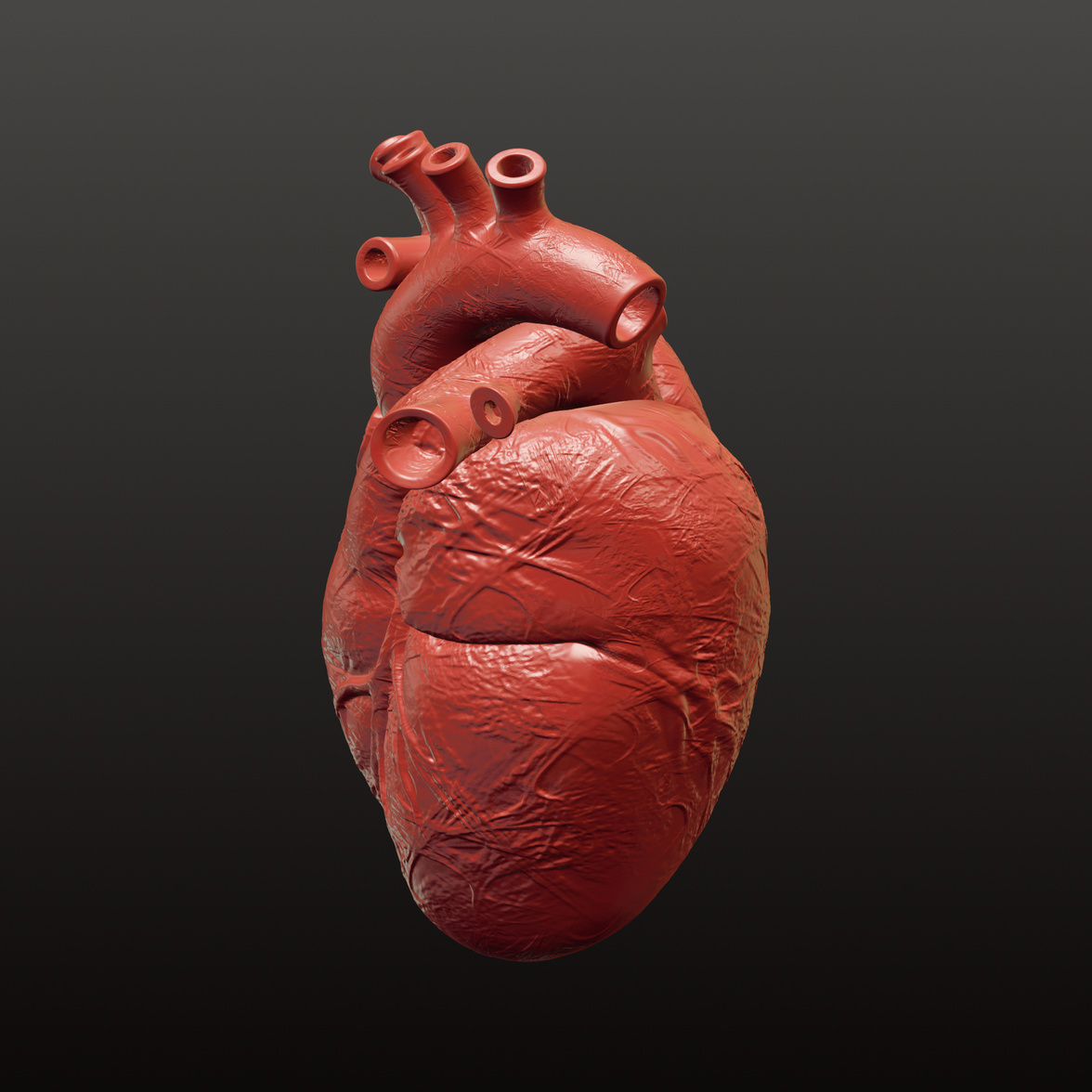 Human Heart