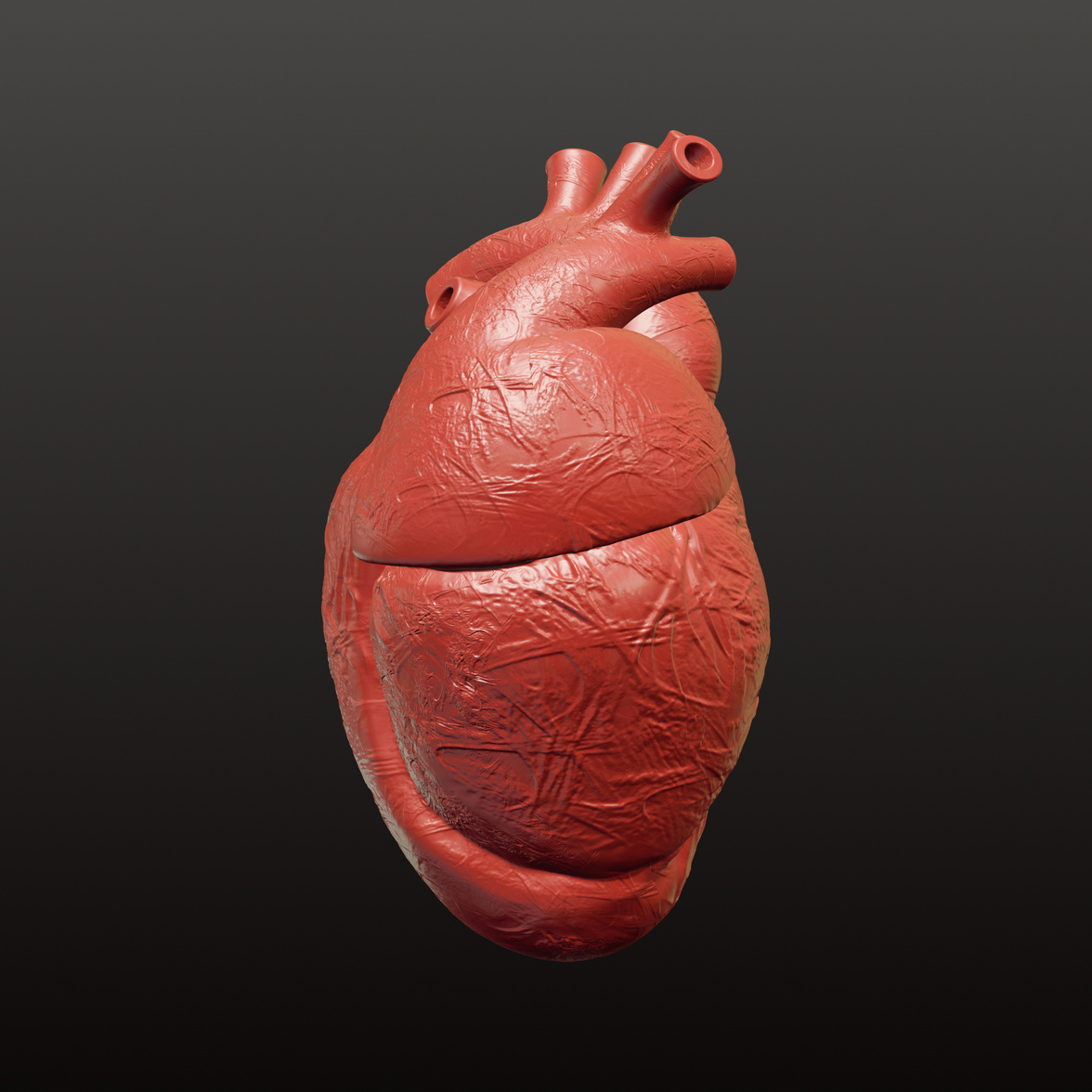 Human Heart