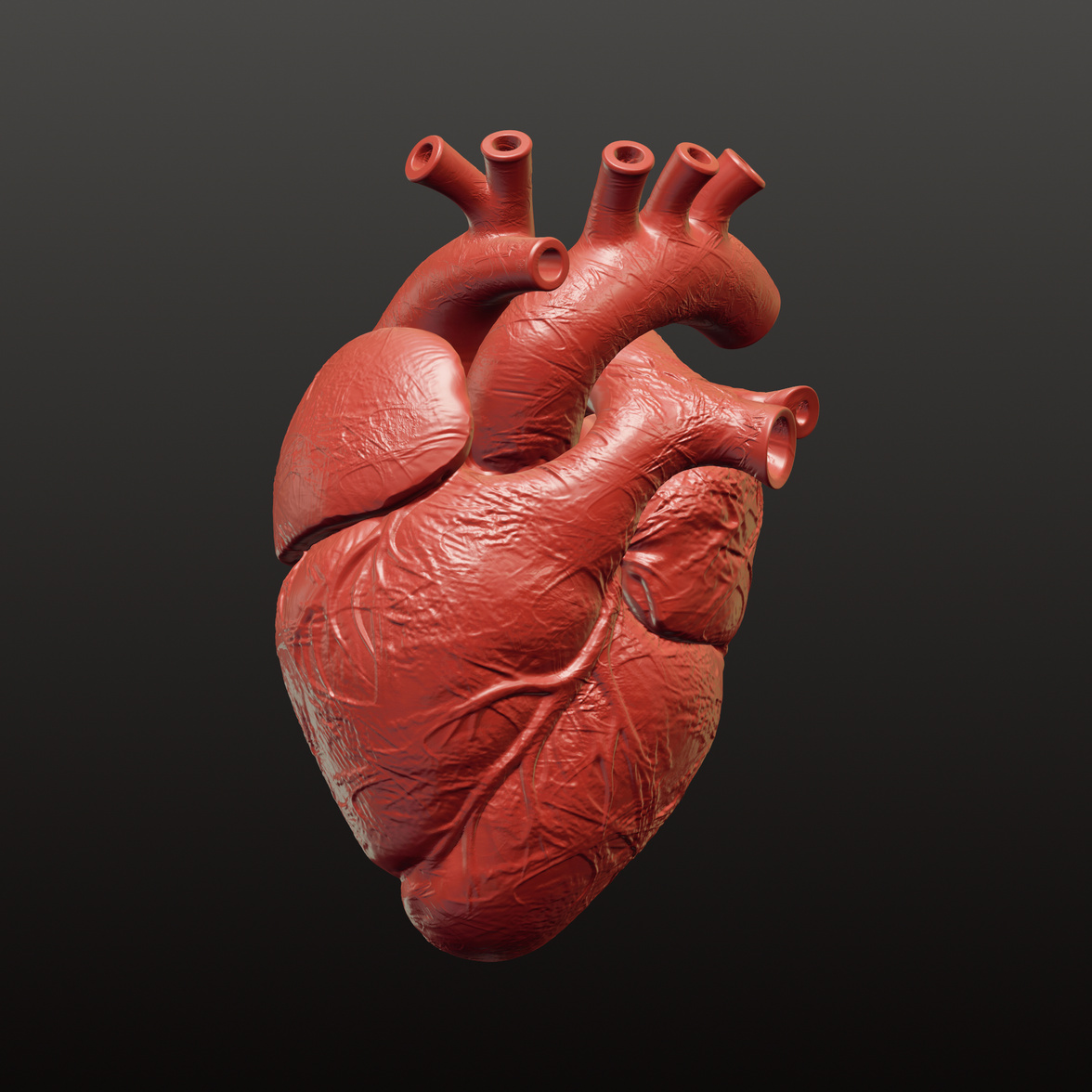 Human Heart